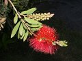 06-DSCF0676
