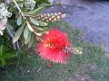 07-DSCF0677