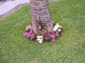 12-DSCF0685