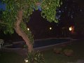 43-DSCF0719