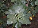 DSCF0940