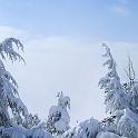 DSCF1991